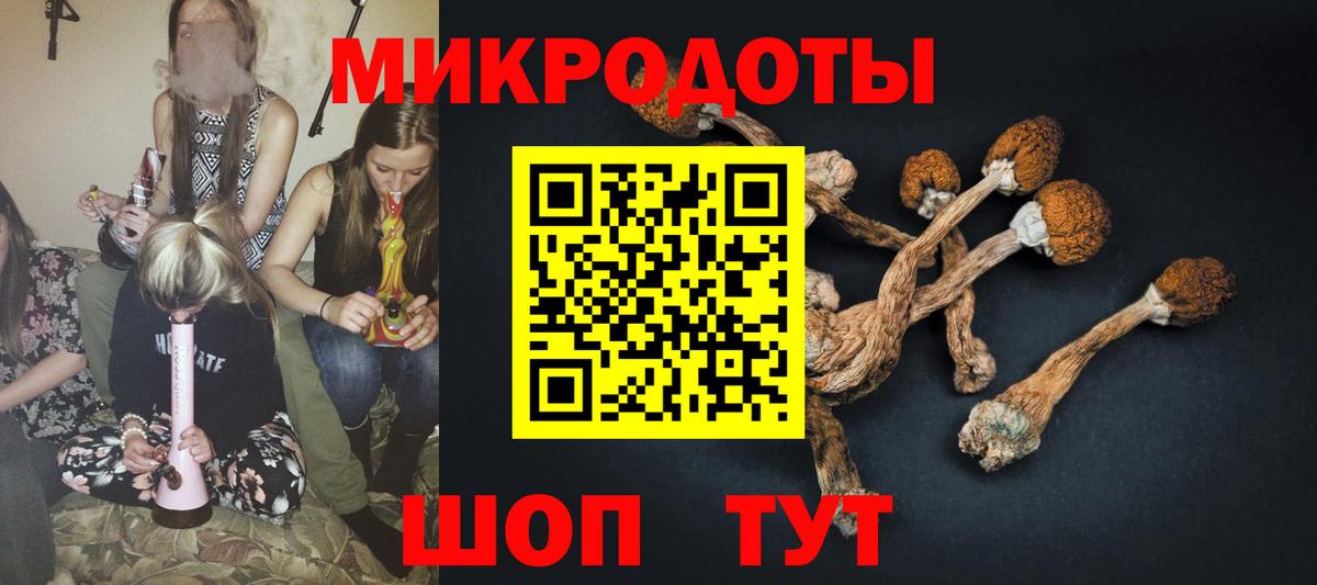 Псилоцибиновые грибы GOLDEN TEACHER Керчь